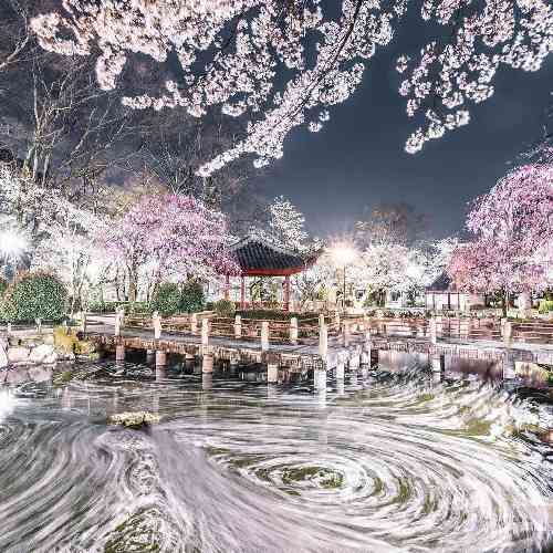 محسن اسفندیاری جومه زرد جونم گلیت وه چنه تکیت وه دیواره سیلت